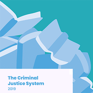 The Criminal Justice System and Sexual Violence